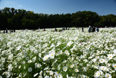 201025万博公園33