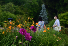 220609京都植物園71