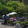190427c當麻寺奥院34