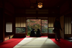 181118d泉涌寺雲龍院51