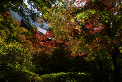 221112a久安寺29