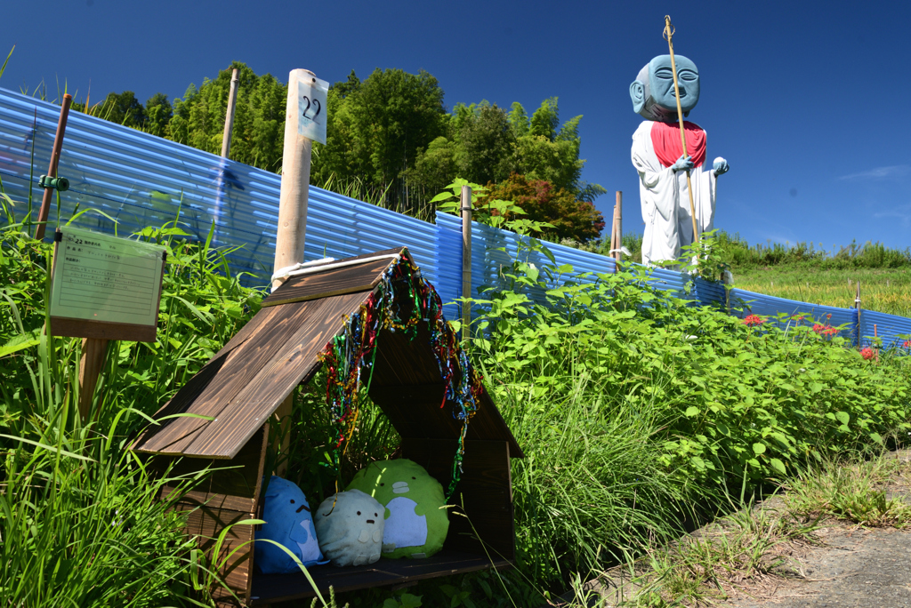 220925a明日香稲渕22