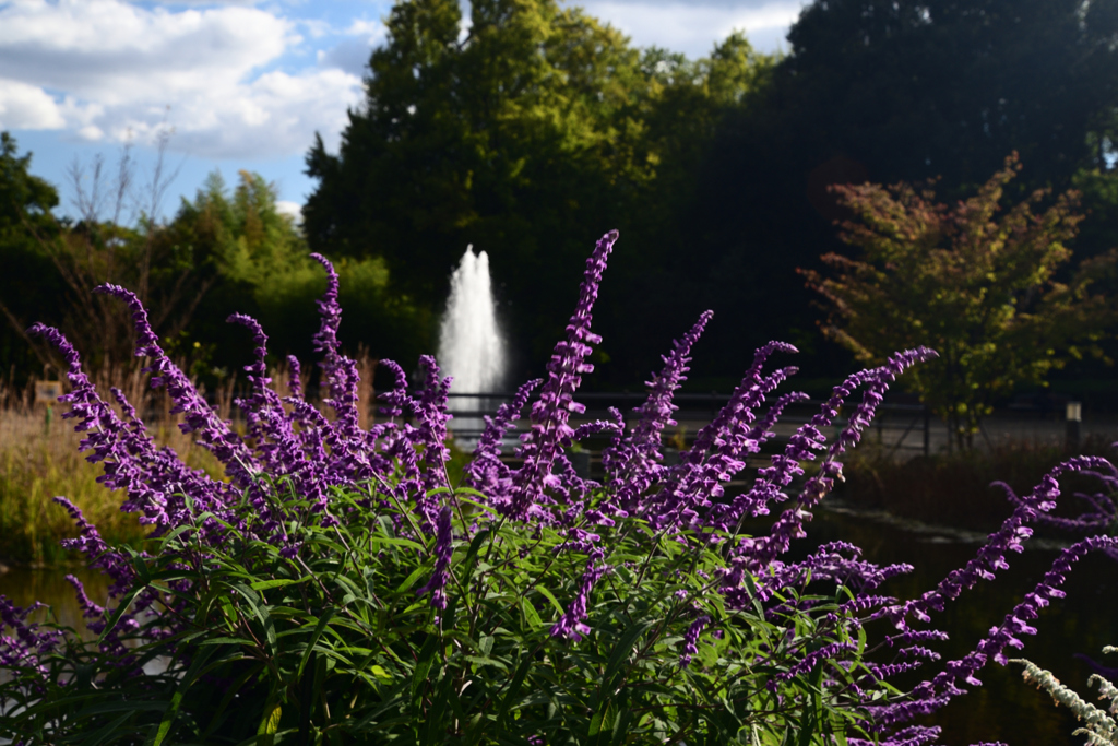 211022京都植物園39