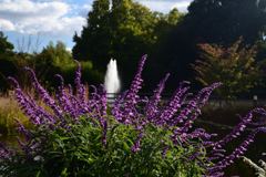 211022京都植物園39