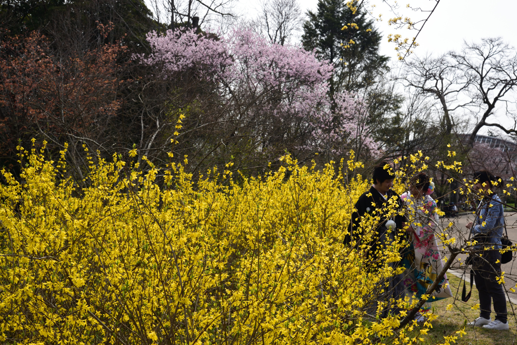 190329b京都植物園70