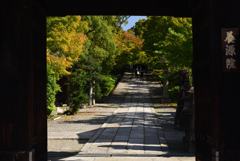 191028d養源院54