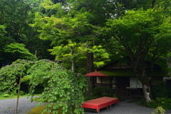 220605a白龍園02