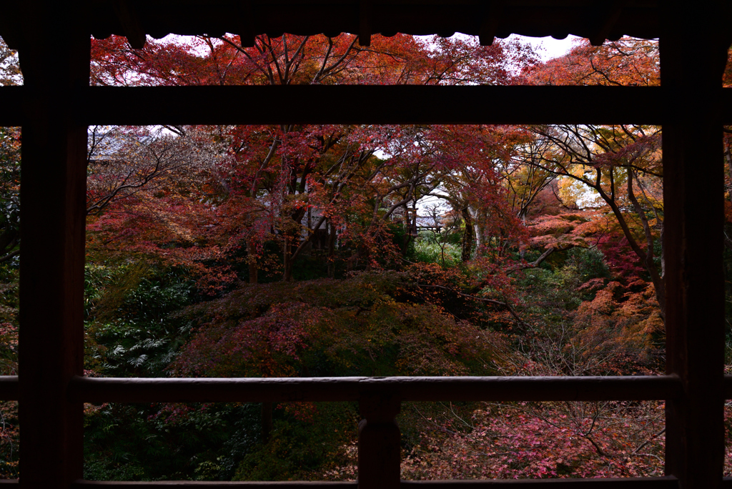 211202b東福寺50