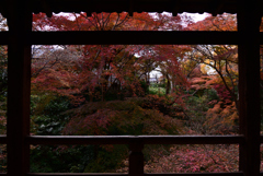 211202b東福寺50