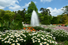 250504京都植物園14