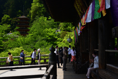 220428長谷寺31