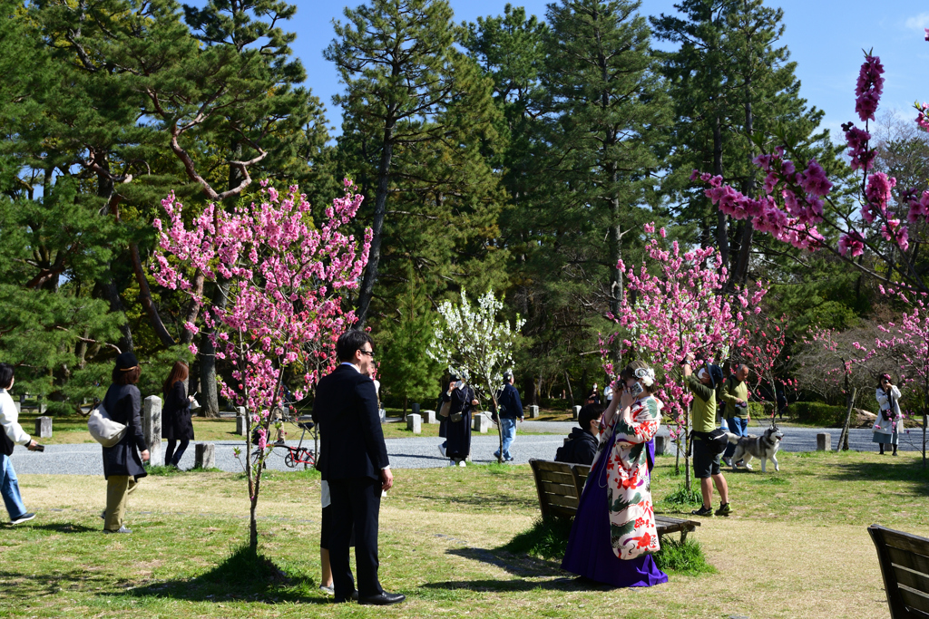 230320c京都御苑34