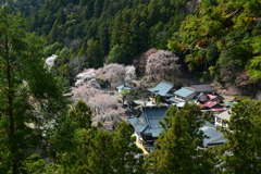 250405b身延山久遠寺01