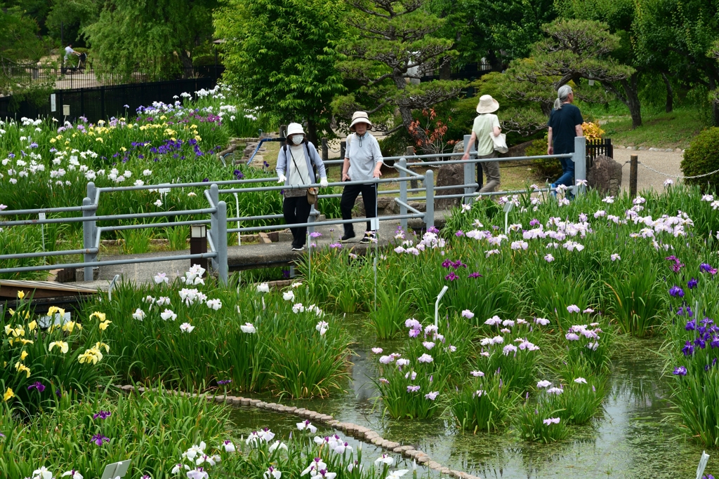 250607水月公園31