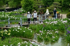 250607水月公園31