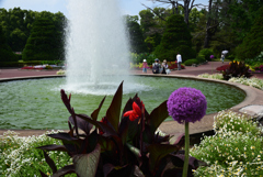 200604京都植物園53