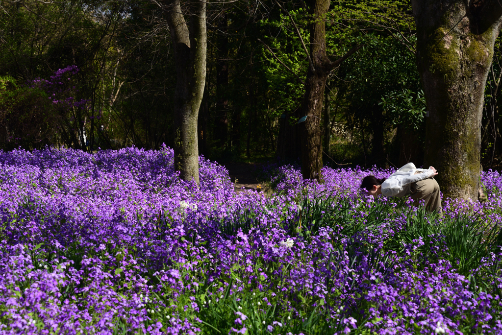 220405b京都植物園14