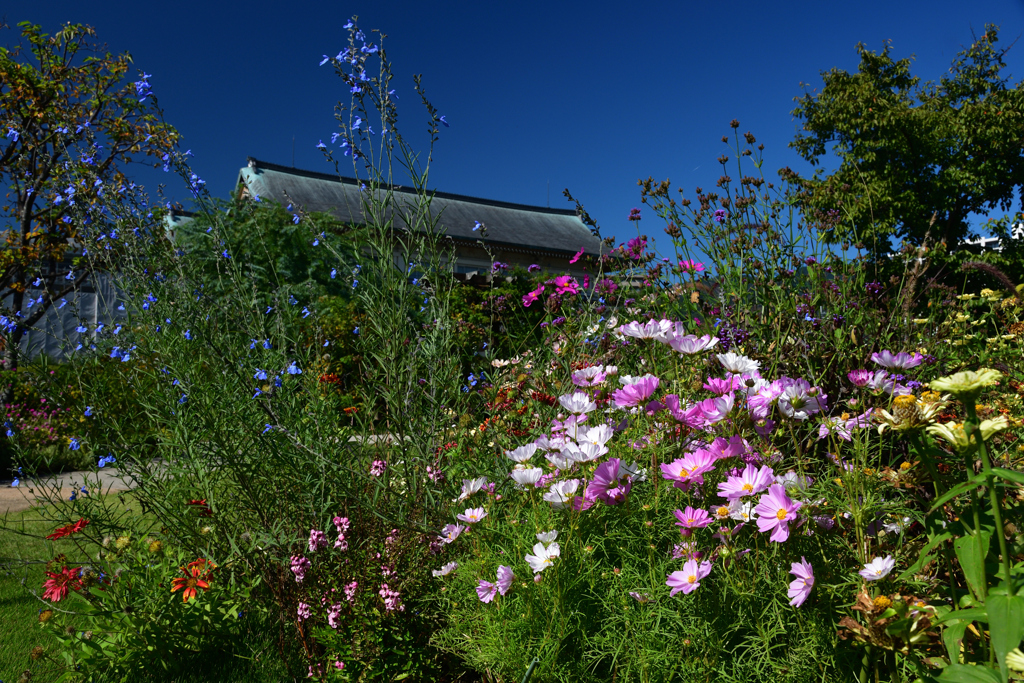 2501023びわ湖大津館26