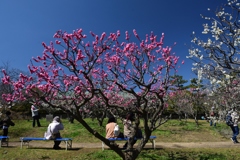 180310万博公園55+