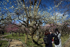 190223a北野天満宮23