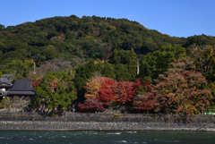 211126h宇治川48