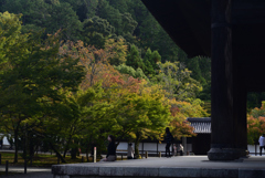 211024e南禅寺22