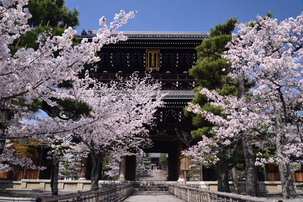 230330e金戒光明寺39