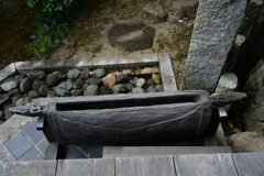 250924bだるま寺27