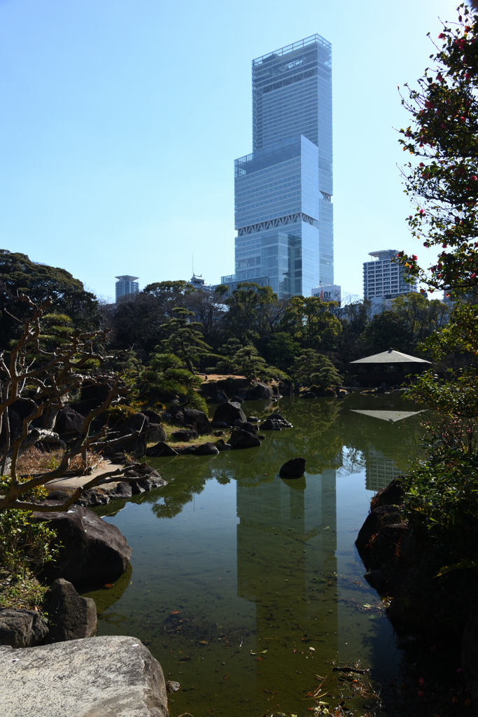 220108a慶沢園04