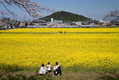 220406a藤原宮跡53