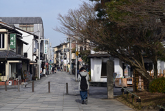 230113a平等院01