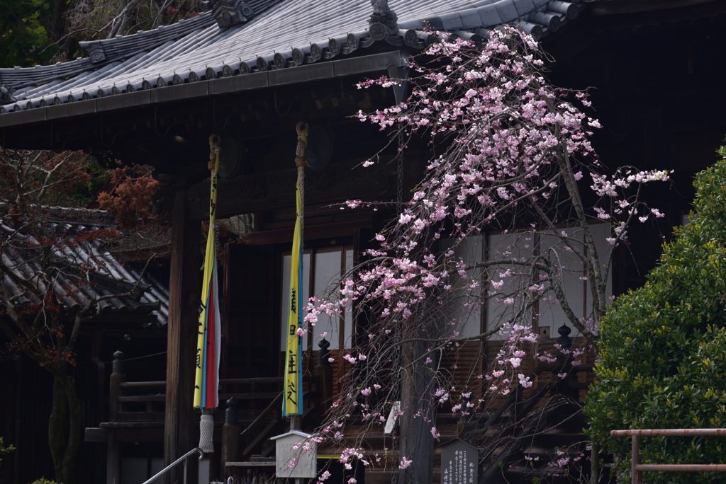 200403d山崎聖天32