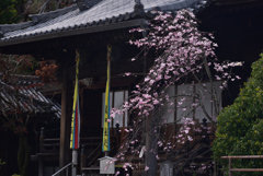 200403d山崎聖天32