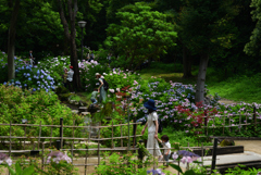 200627万博公園23