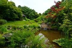 250606妙心寺退蔵院45