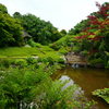 250606妙心寺退蔵院45