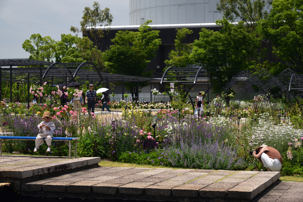 190530万博公園16