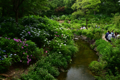 230610b長居植物園26