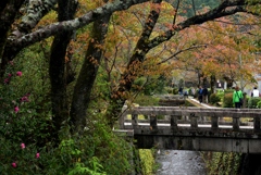 181101c安楽寺39