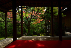 191124d桂春院16