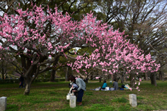 220325d京都御苑46