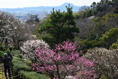 200219中山寺37 200219中山寺37