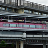 251007b梅小路公園17