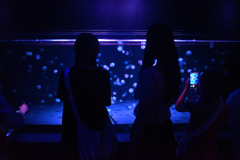 240820京都水族館17