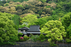 250509b宇治川09