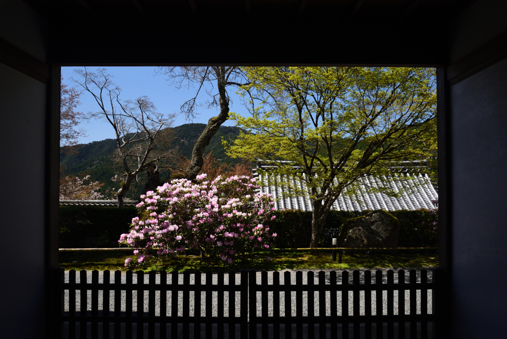 210407c三千院34