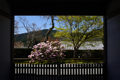 210407c三千院34