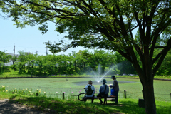 250605a白鷺公園18