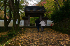 231116c大威徳寺39