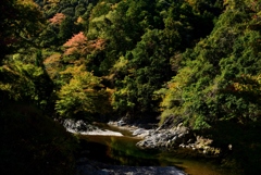 181103a西明寺55